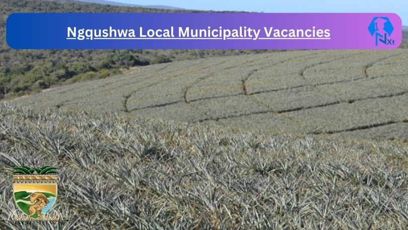 New Ngqushwa Local Municipality Vacancies 2024 @ngqushwamun.gov.za Careers Portal